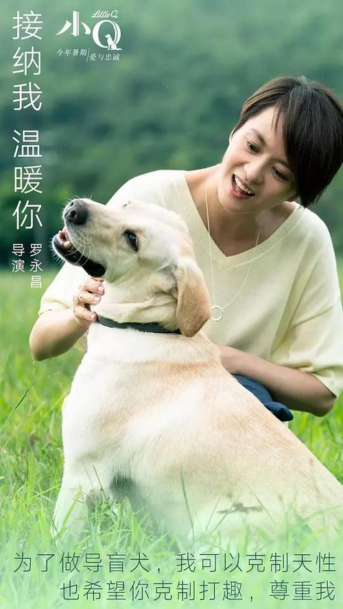 图卢兹-南比利牛斯联邦大学公共管理文凭证书